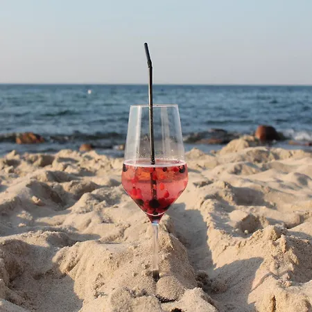 In Mit Sauna Tatil Evi Börgerende-Rethwisch